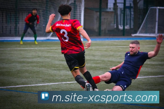 球赛投注服务体系