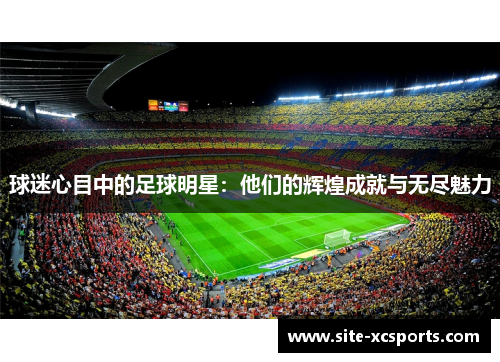 球迷心目中的足球明星:他们的辉煌成就与无尽魅力 球迷心目中的足球明星:他们的辉煌成就与无尽魅力