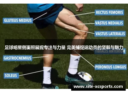 足球明星侧面照展现专注与力量 完美捕捉运动员的坚毅与魅力 足球明星侧面照展现专注与力量 完美捕捉运动员的坚毅与魅力