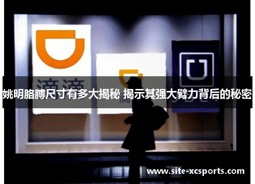 姚明胳膊尺寸有多大揭秘 揭示其强大臂力背后的秘密 姚明胳膊尺寸有多大揭秘 揭示其强大臂力背后的秘密