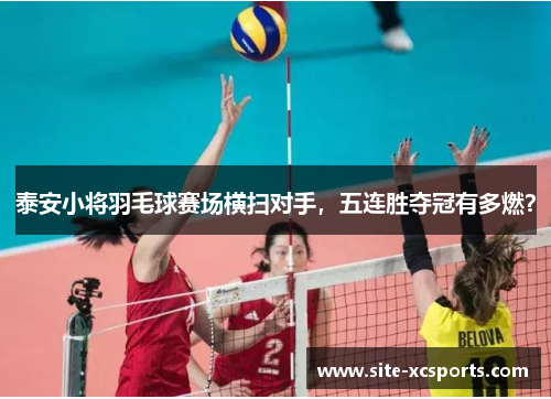 泰安小将羽毛球赛场横扫对手，五连胜夺冠有多燃？